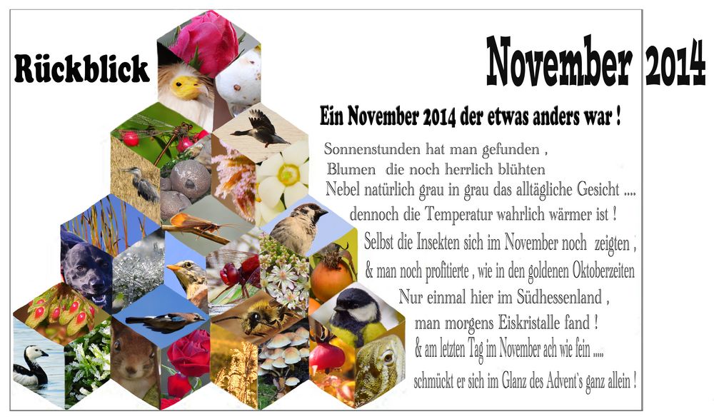 Der November 2014