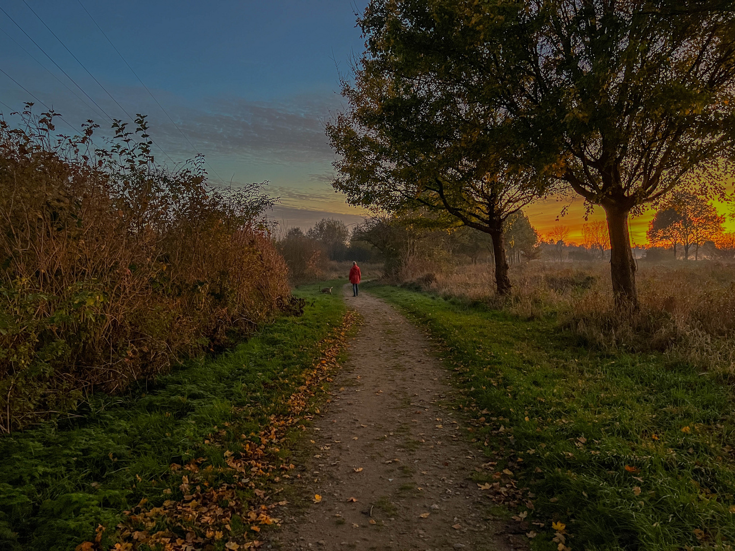 Der November hat auch noch einiges zu bieten...