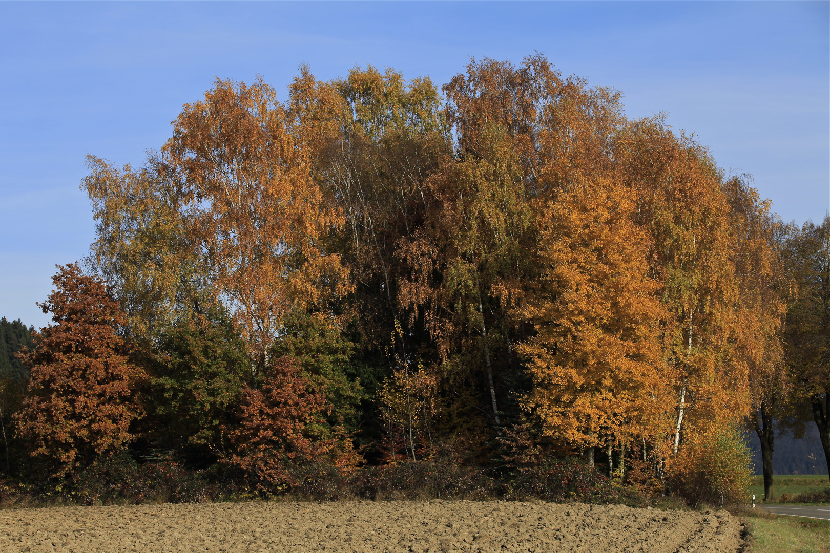 der november in niederbayern - einfach nur schön ...