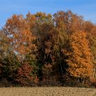 der november in niederbayern - einfach nur schön ...