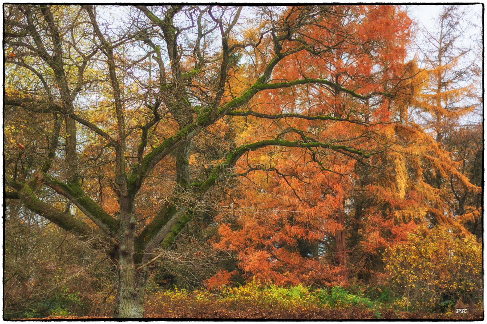 Der November ist bunt !