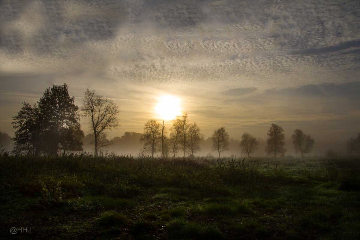 der Novembermorgen