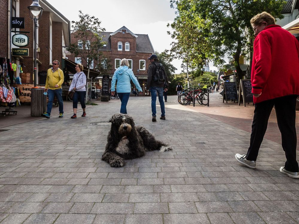 Der Obdachlose von Langeoog