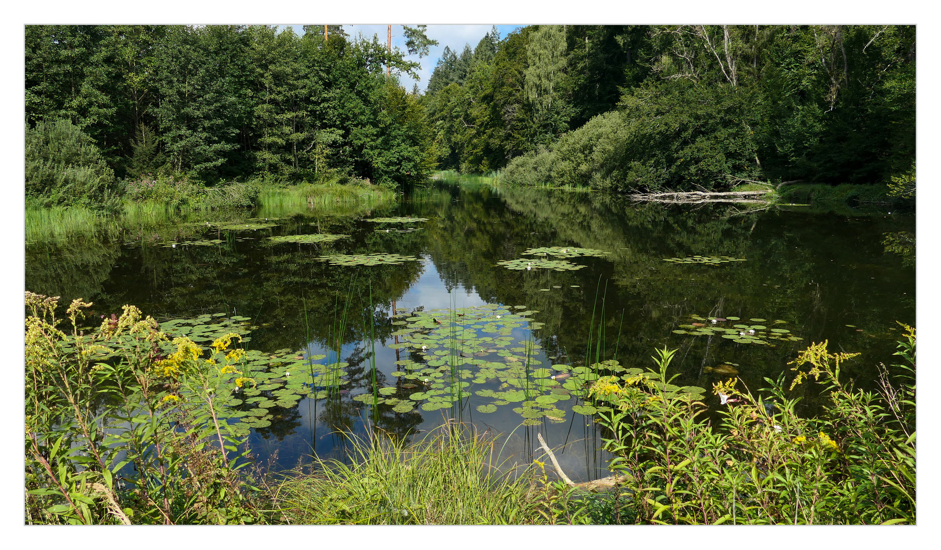 Der Obere Nellenfurtweiher