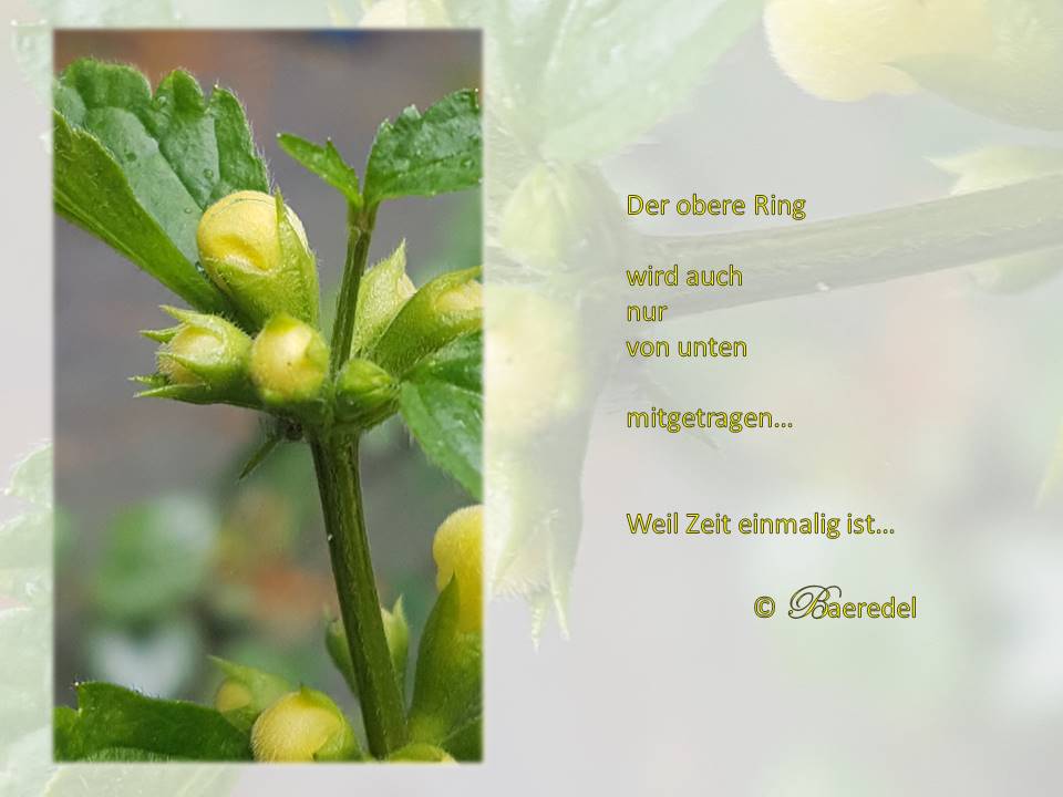 Der obere Ring