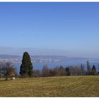 Der obere Zürichsee