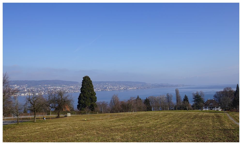 Der obere Zürichsee