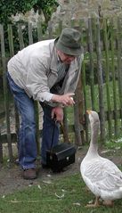 Der Oberlehrer und die Gans