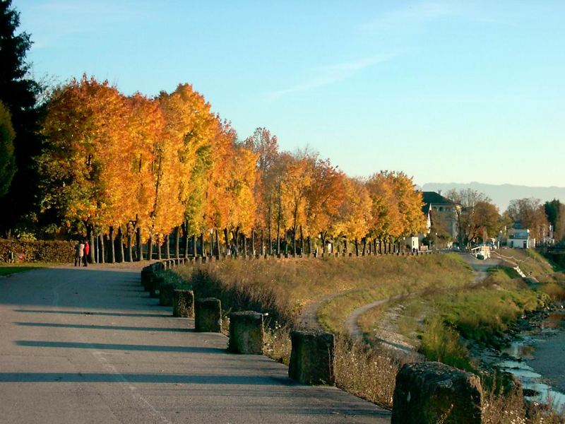 Der Oberndorfer Salzachdamm in Herbststimmung