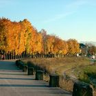 Der Oberndorfer Salzachdamm in Herbststimmung