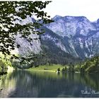 Der Obersee 1