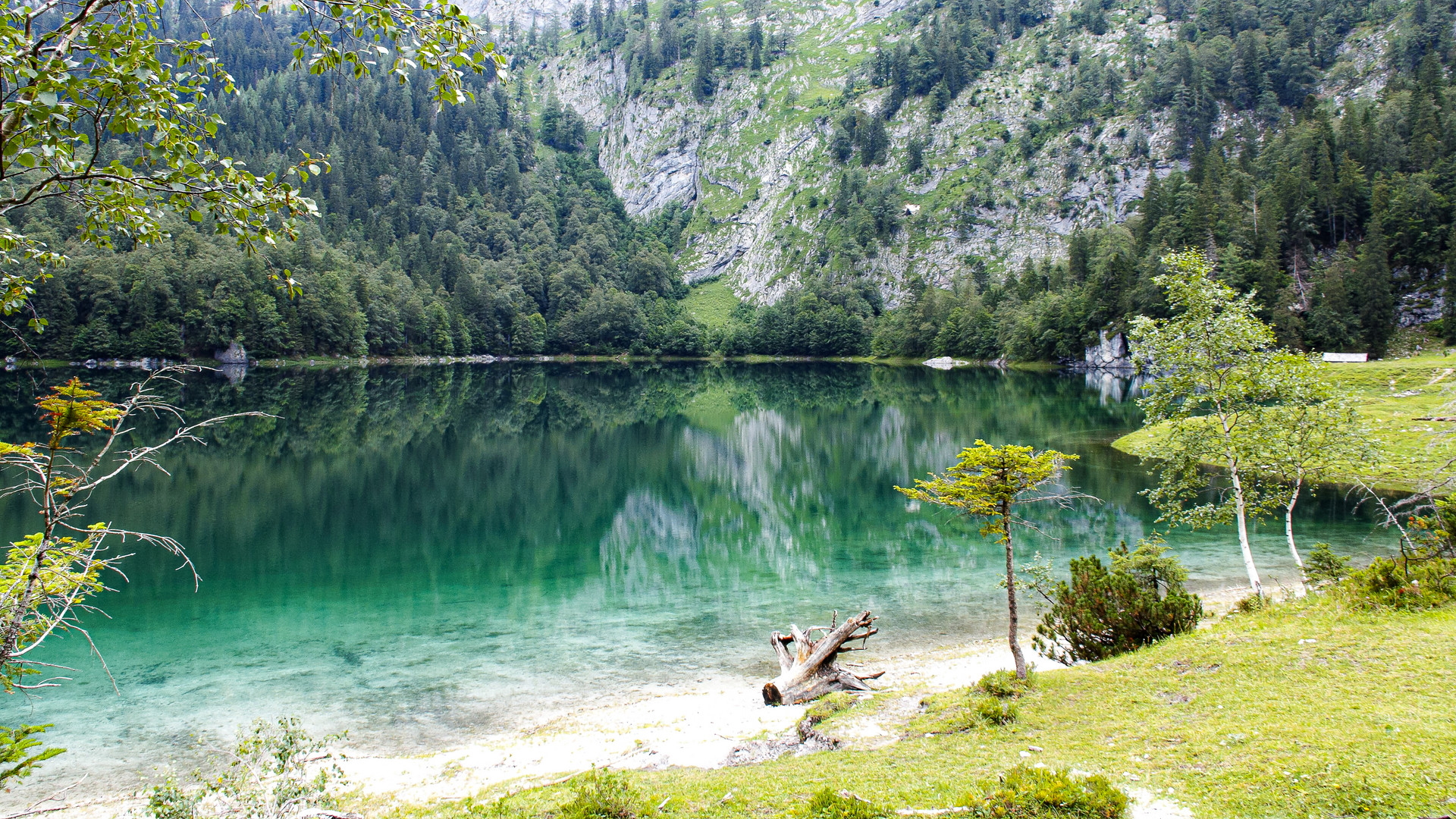 Der Obersee