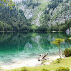 Der Obersee