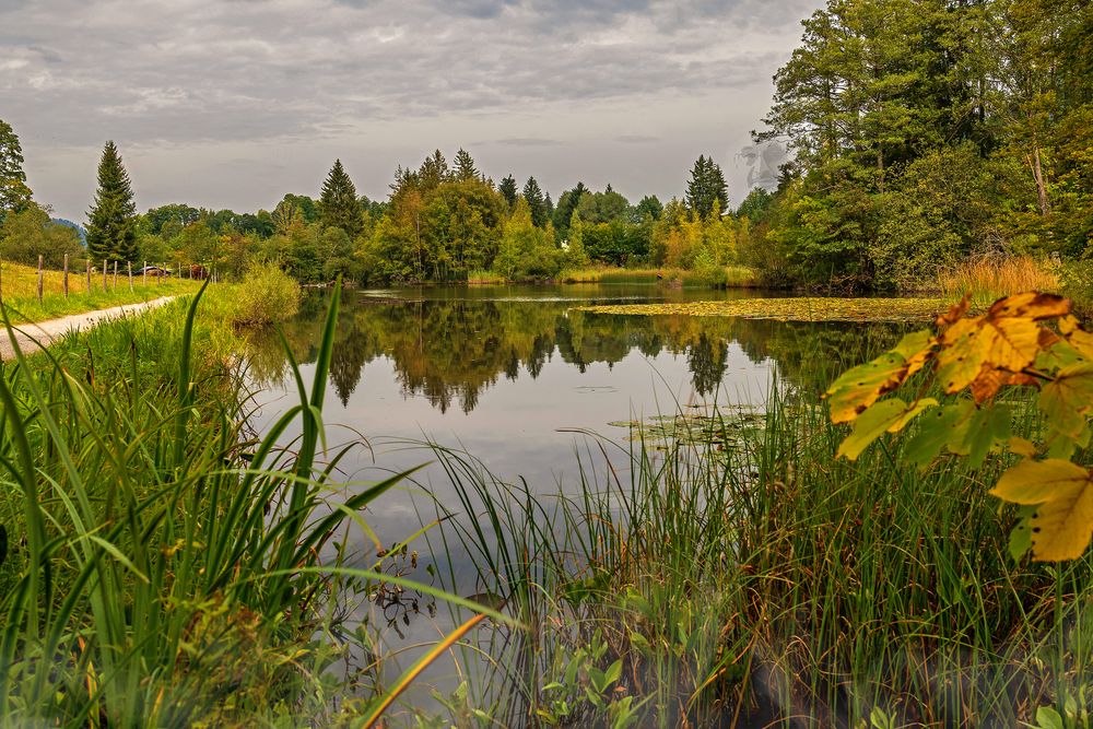 Der Oberstdorfer Moorweiher, Allgäu