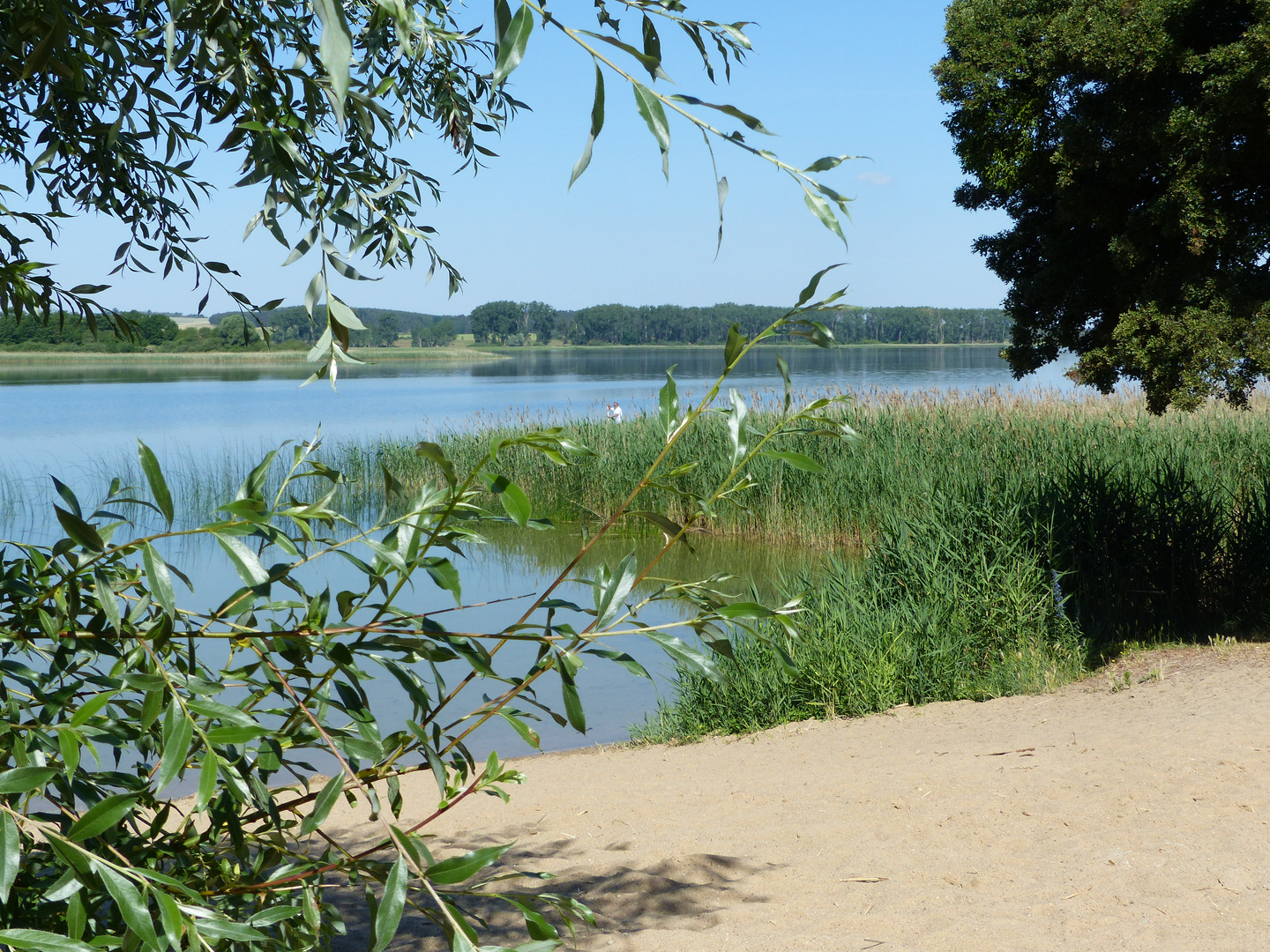 Der Oberuckersee ...