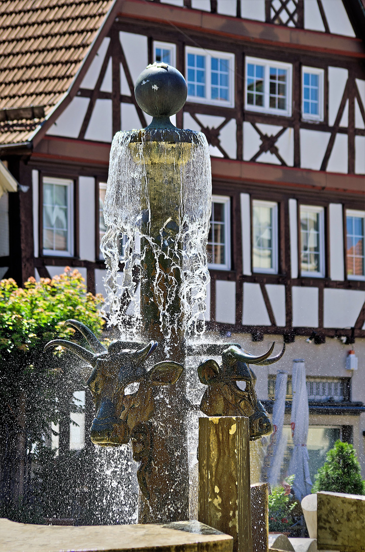 Der Ochsenbrunnen