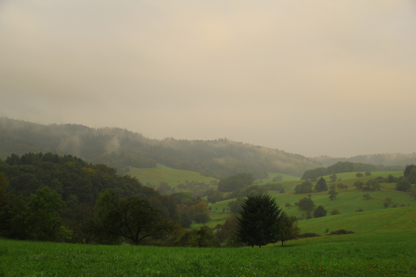 Der Odenwald