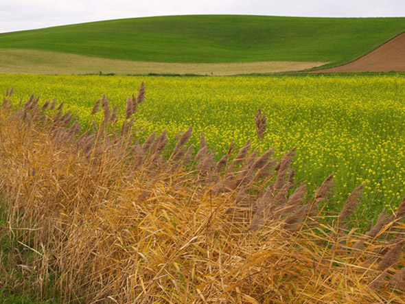 Der Odenwald bei Lichtenberg im Oktober