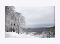 Der Odenwald, ein Wintermärchen