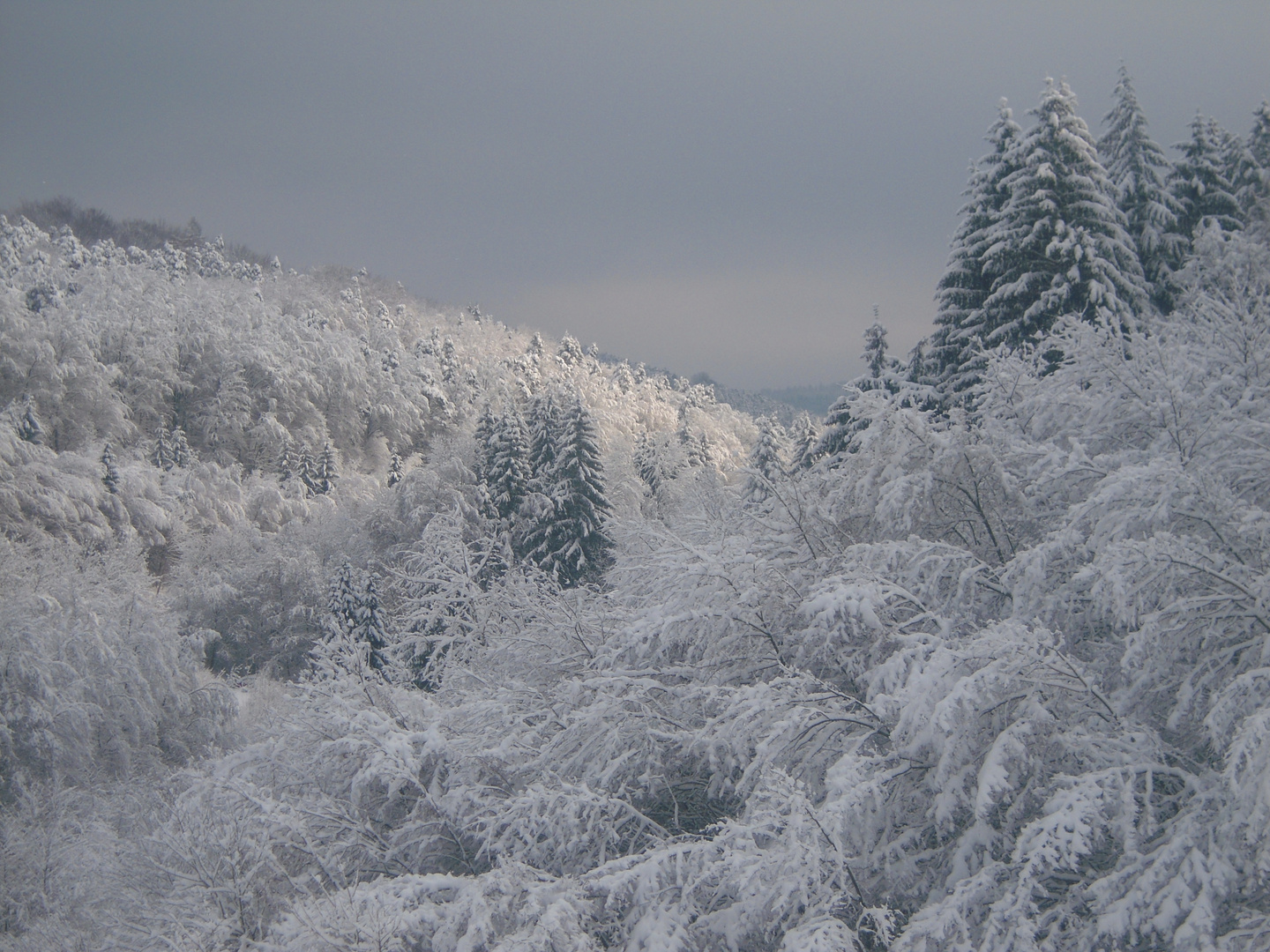 Der Odenwald im Winter....