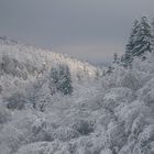 Der Odenwald im Winter....