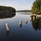 Der Oderteich im Harz