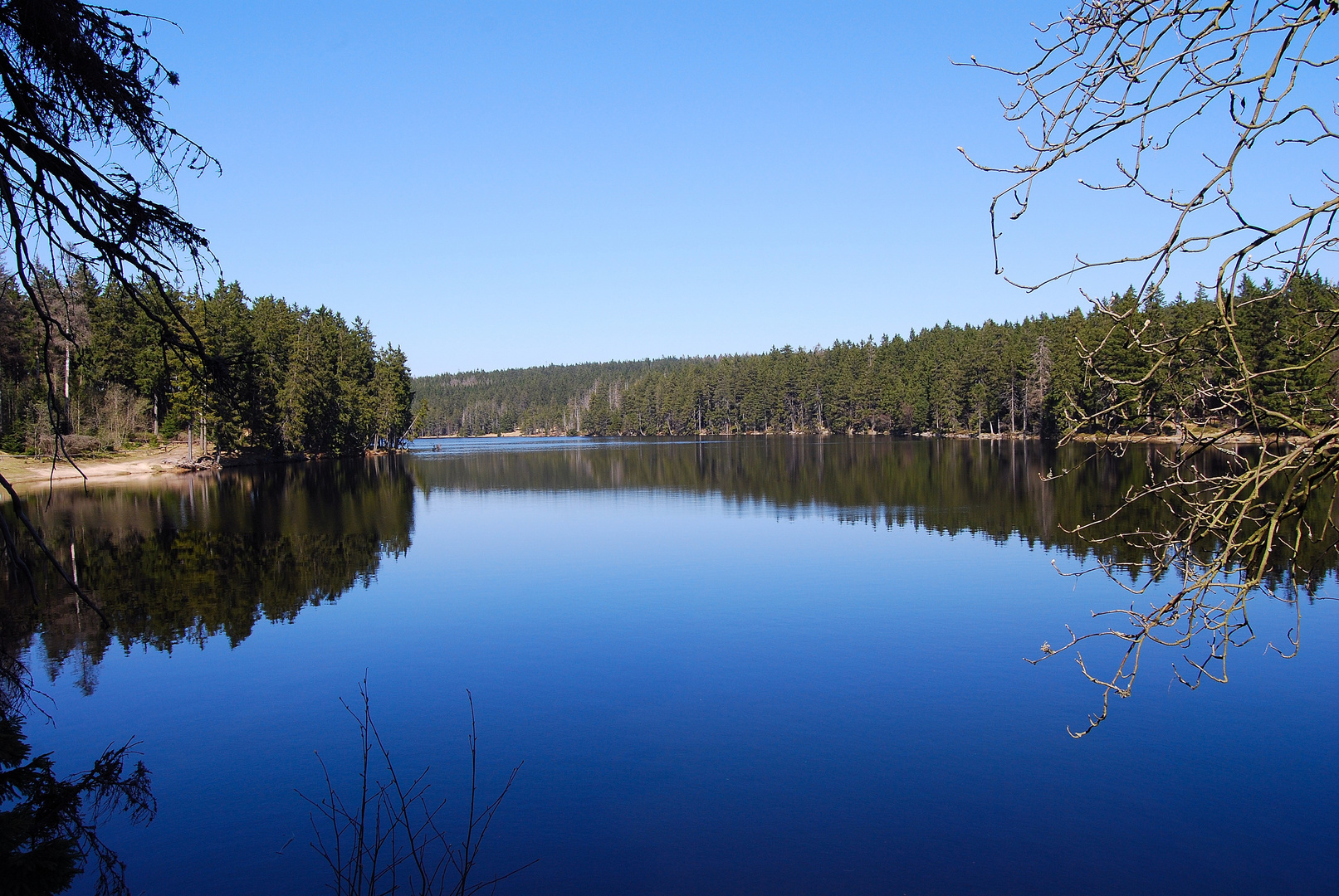 Der Oderteich im Oberharz