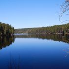 Der Oderteich im Oberharz