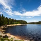 Der Oderteich im Oberharz