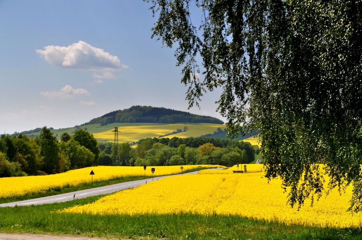 Der Oderwitzer Spitzberg