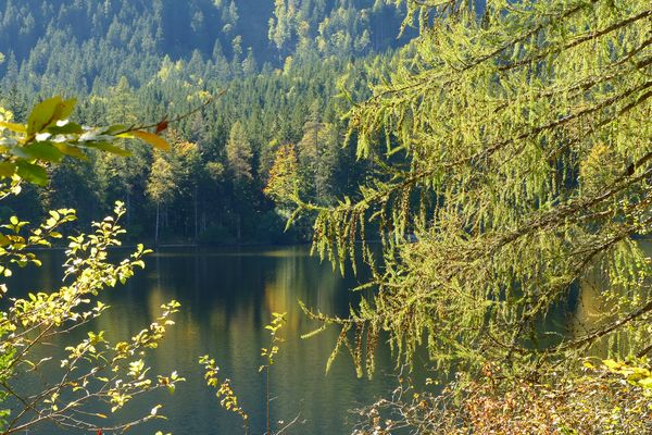Der Ödensee - ganz versteckt