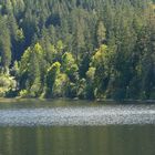 Der Ödensee im Sonnenlicht