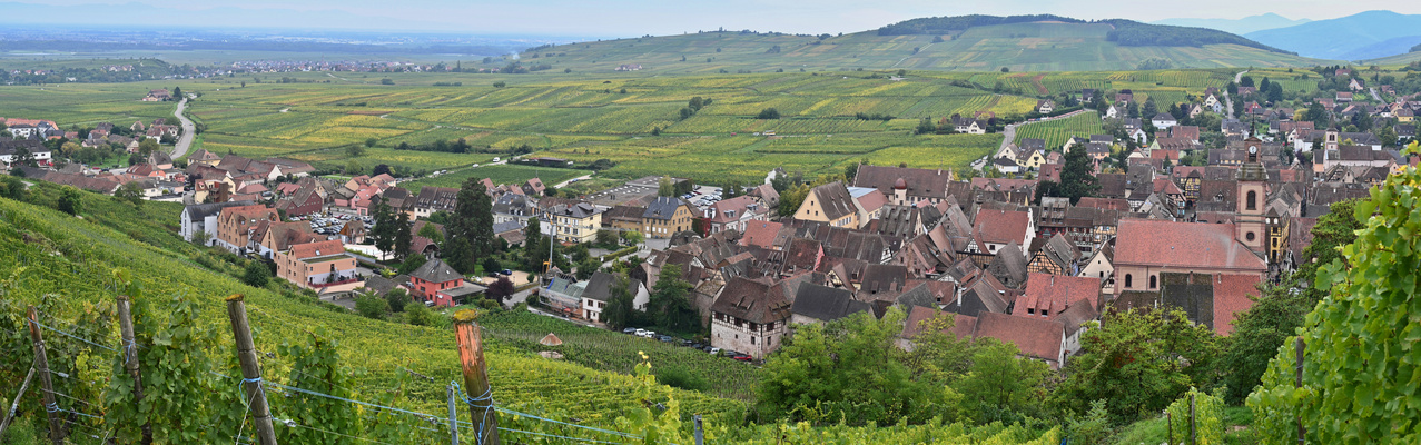 Der östliche Teil von Riquewir