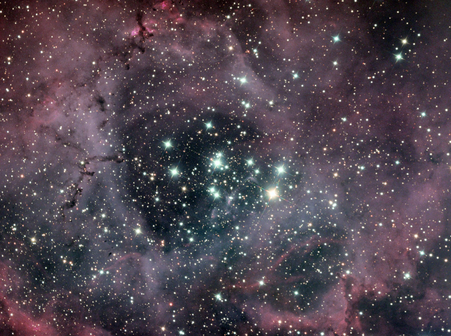 Der offene Strernhaufen NGC 2244 eingebettet in den Rosettennebel NGC 2237,2238,2239,2246