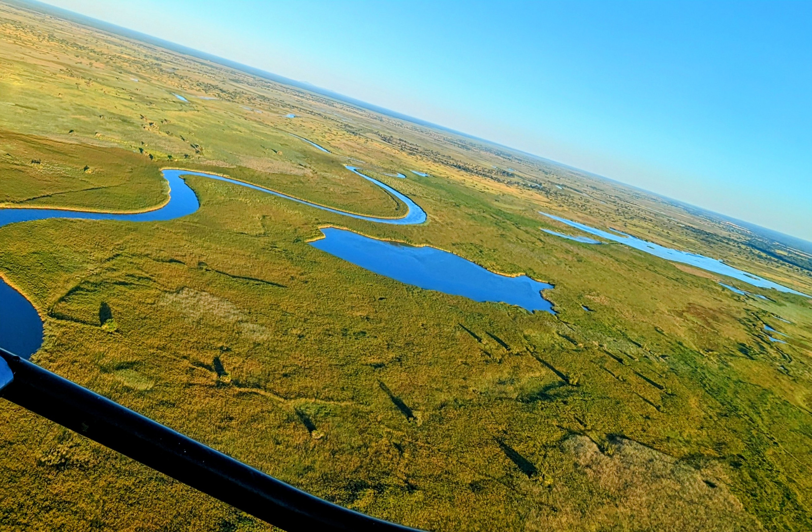 Der Okavango 