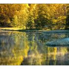 Der Okerstausee am frühen Morgen