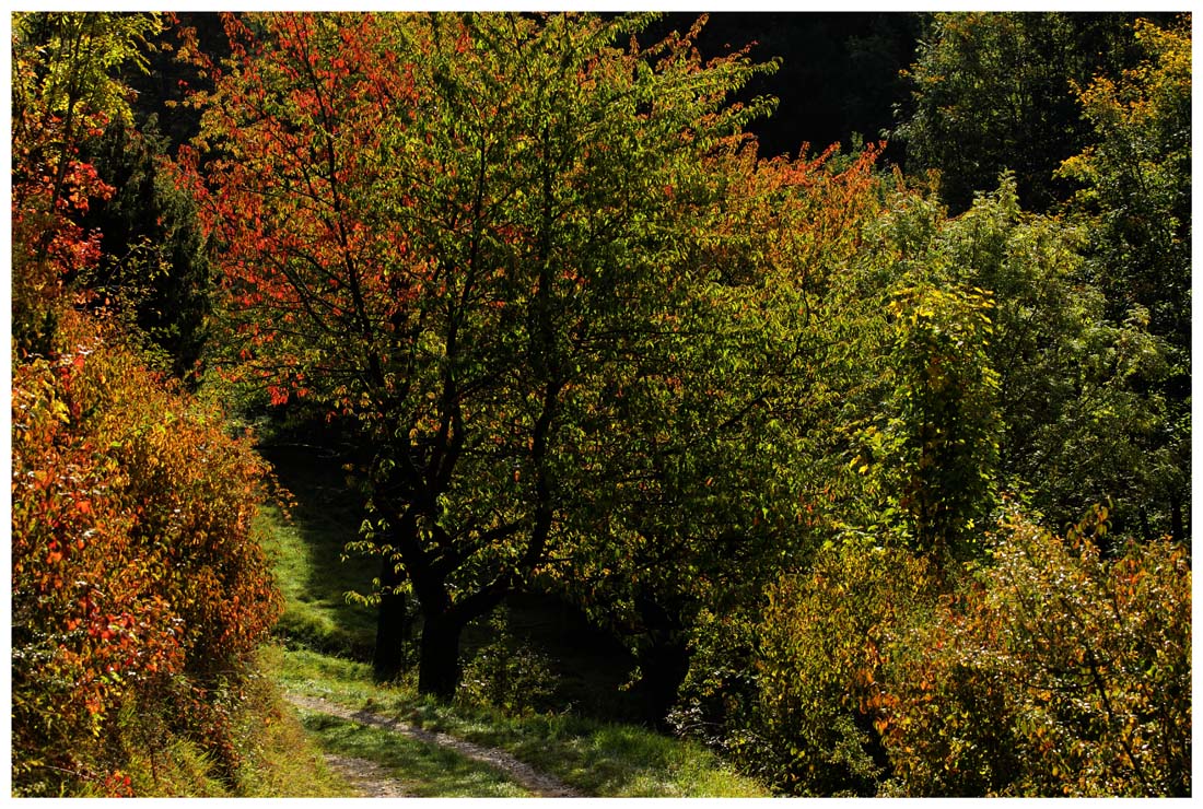 Der Oktober begann bunt...