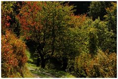 Der Oktober begann bunt...