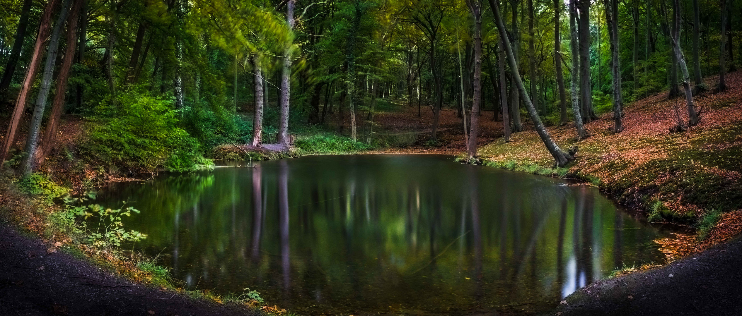 Der Oktoberwald