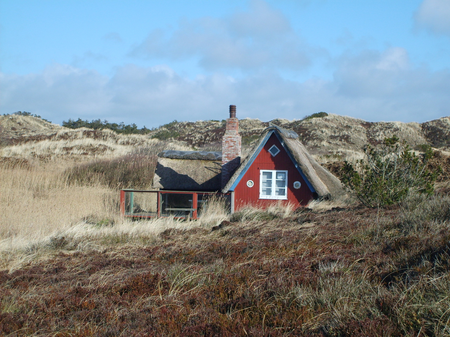 Der Olle Hansen Foto Bild Landschaft Meer Strand Dunen