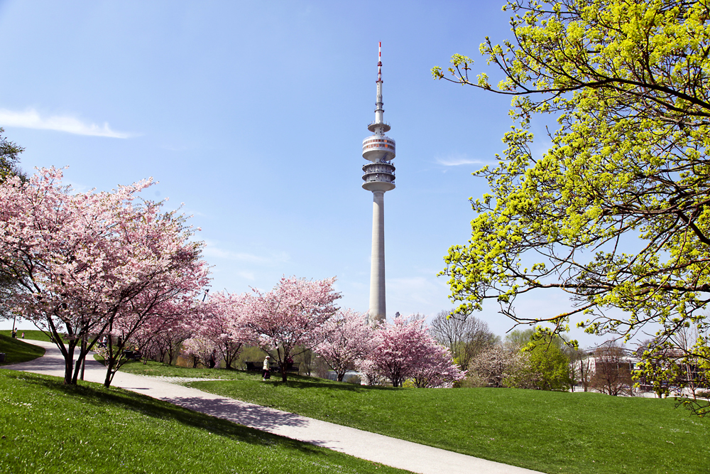 Der Olympiaturm in München ragt in einen strahlend blauen Himmel