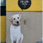 der ON-LEIN Dog ...