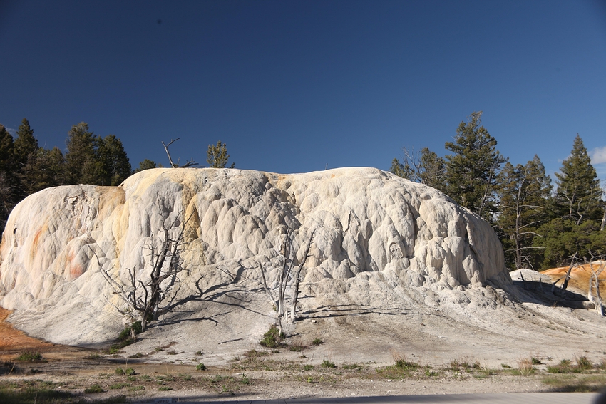 der Orange Spring Mound