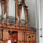 der Organist