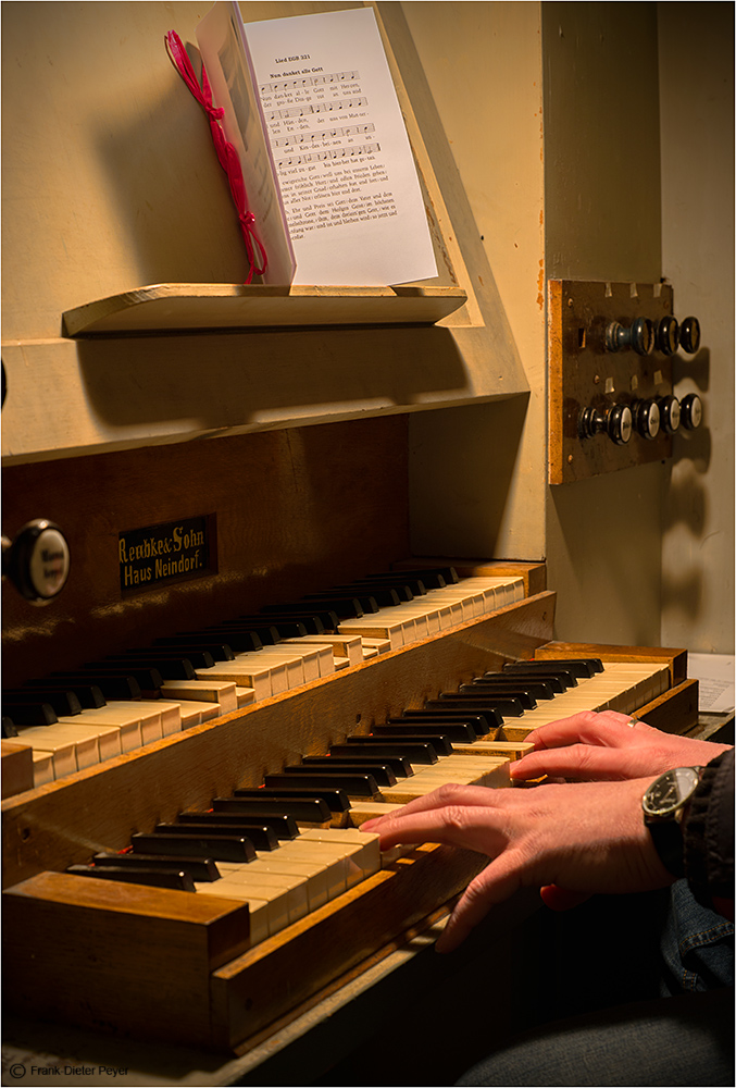 Der Organist