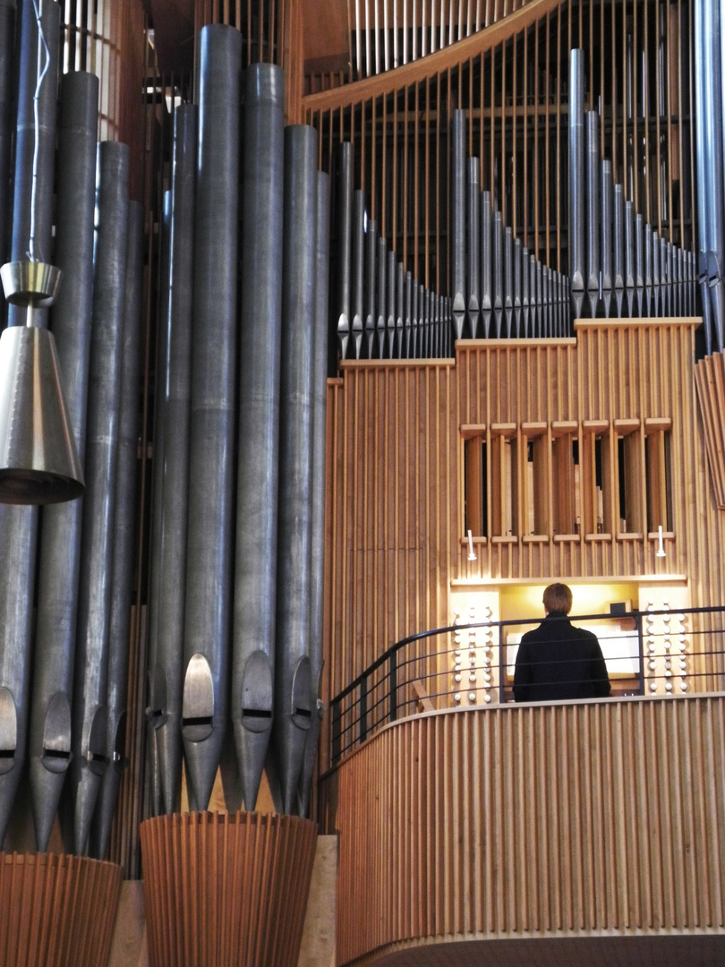 Der Orgelspieler