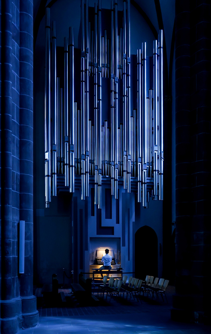 Der Orgelspieler am Abend vor dem Konzert (Klais-Orgel St. Stephan Mainz)