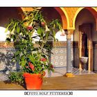 Der orientalische Garten im Erholungspark "Gärten der Welt" in Berlin Marzahn