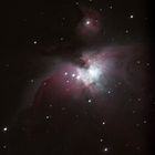 Der Orion Nebel - M42