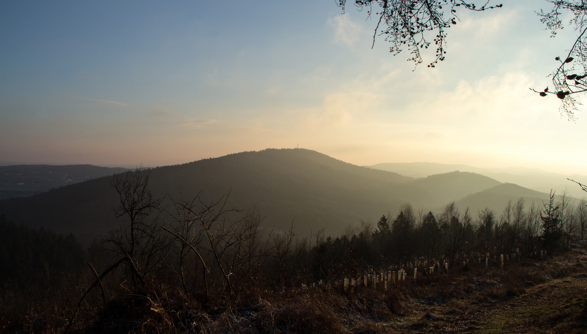 Der Osning an einem Morgen im Dezember